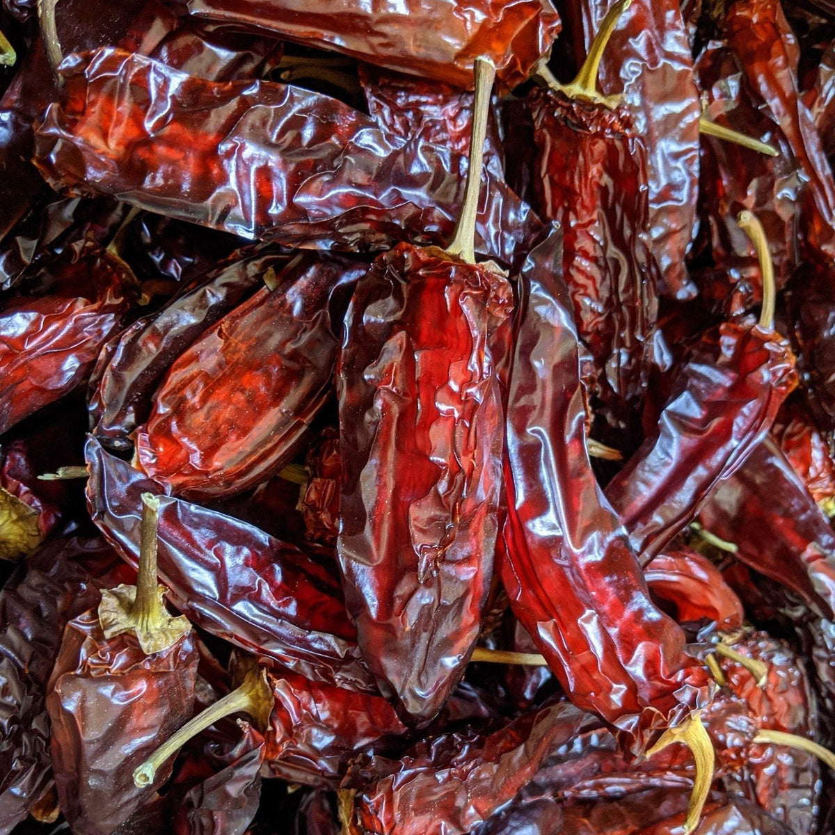 Hungarian Paprika Dried Peppers by Fire Tongue Farms | Fire Tongue Farms